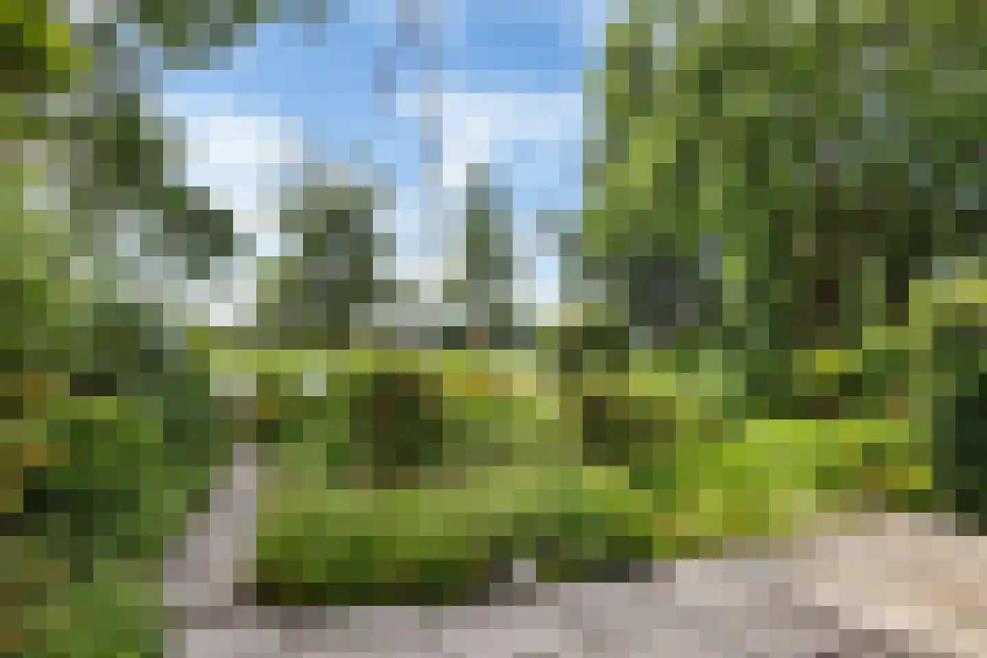 Fioringras 56 Leeuwarden thumbnail 4