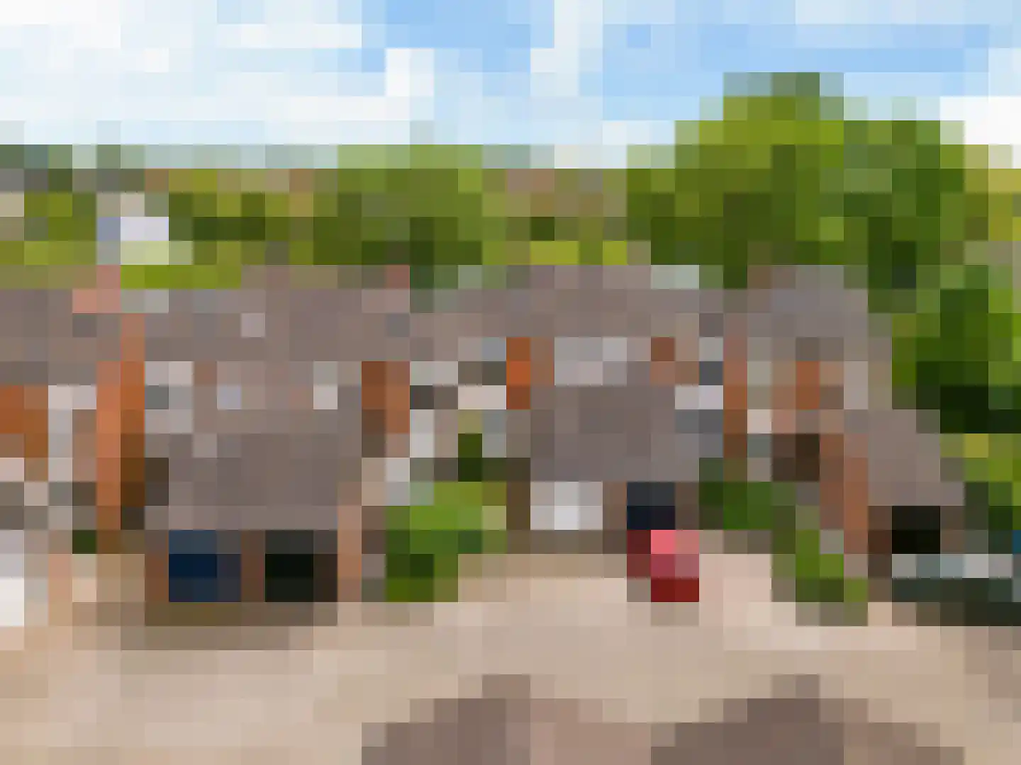 Fioringras 56 Leeuwarden thumbnail 45