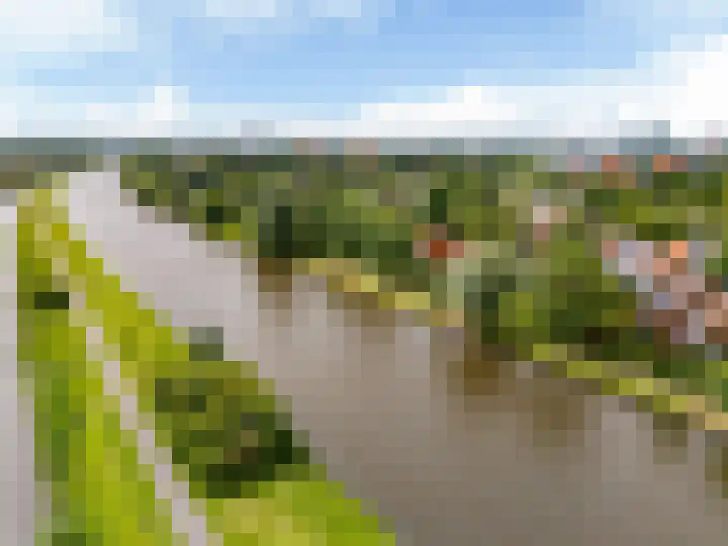 Fioringras 56 Leeuwarden thumbnail 5