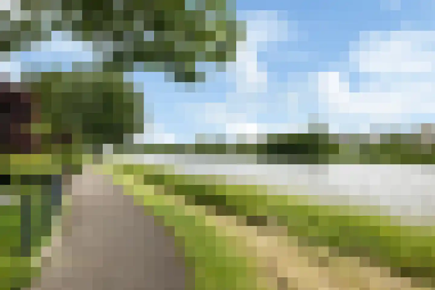Fioringras 56 Leeuwarden thumbnail 51
