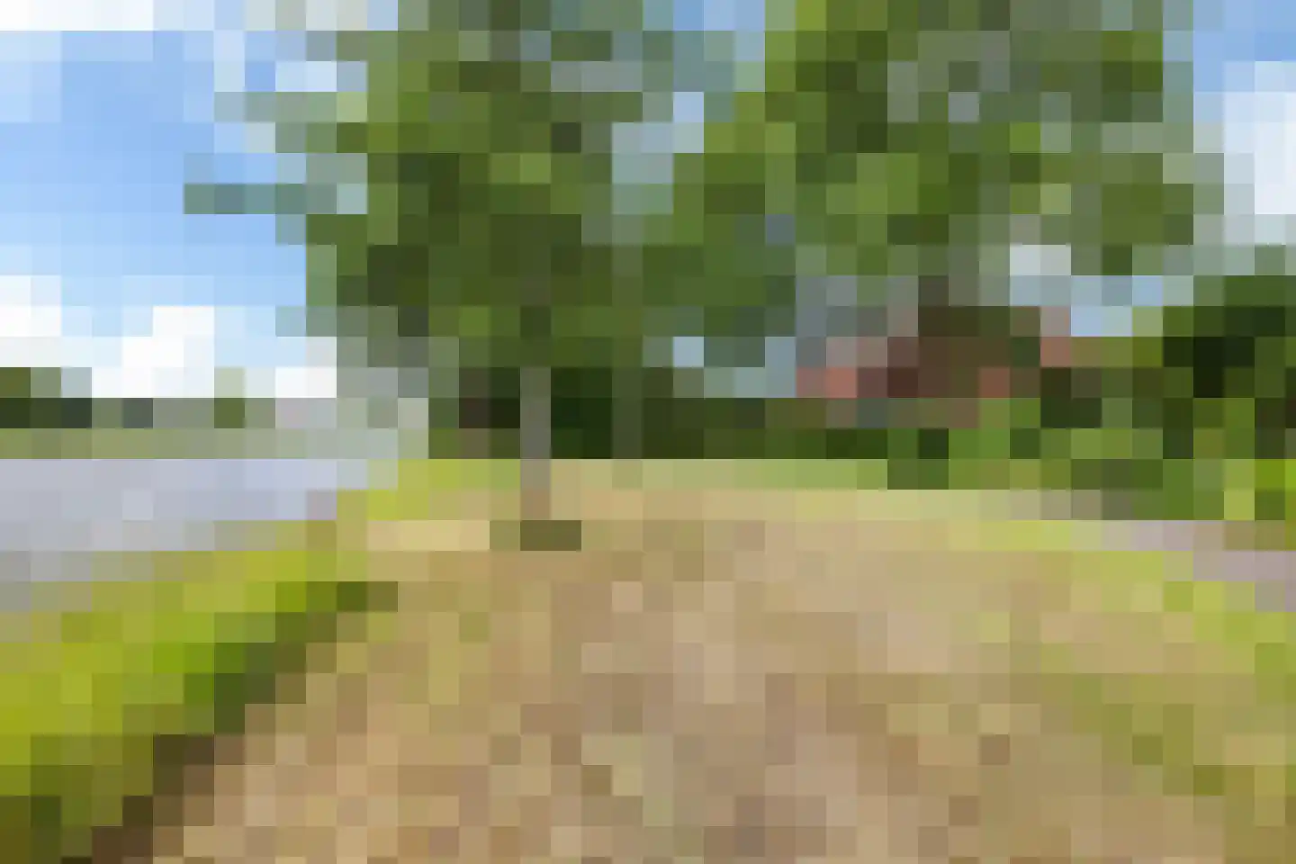 Fioringras 56 Leeuwarden thumbnail 52