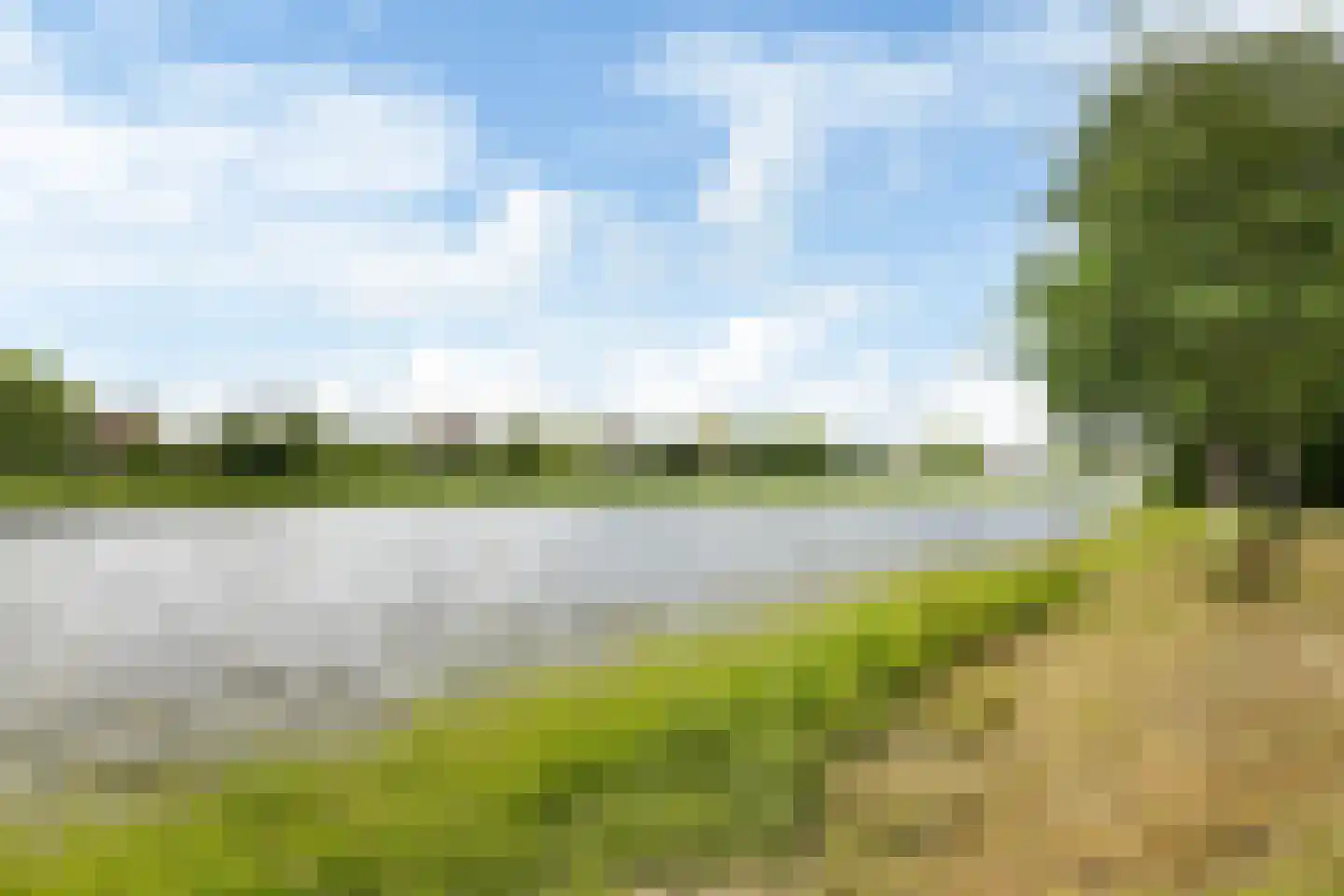 Fioringras 56 Leeuwarden thumbnail 53