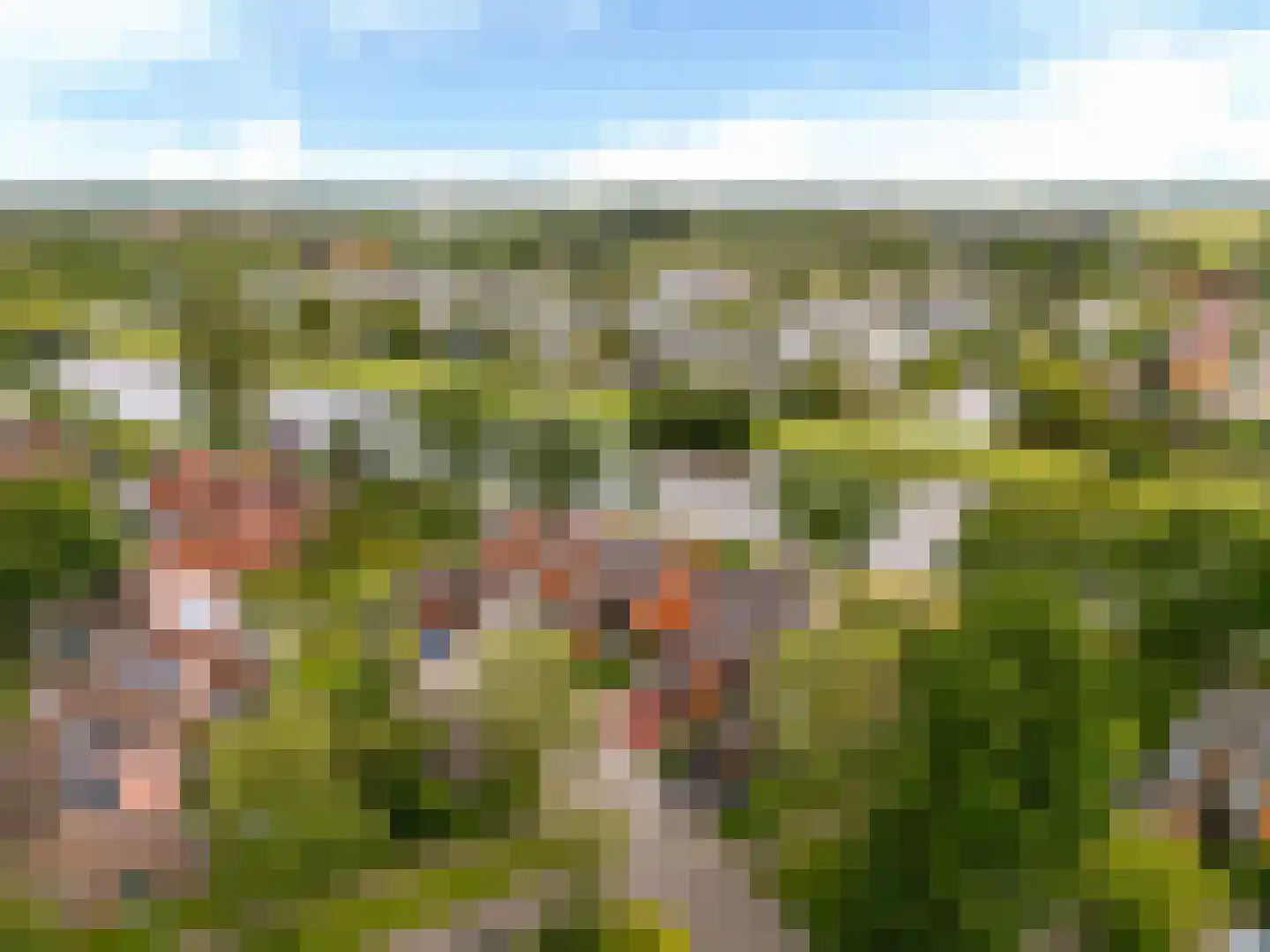 Fioringras 56 Leeuwarden thumbnail 54
