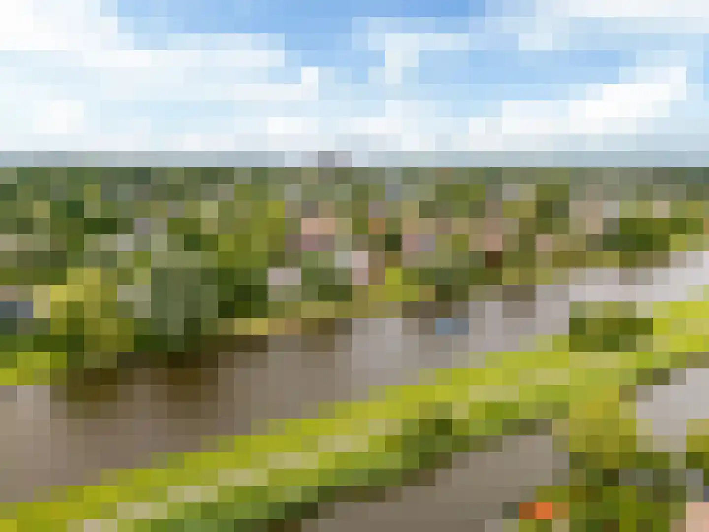 Fioringras 56 Leeuwarden thumbnail 55