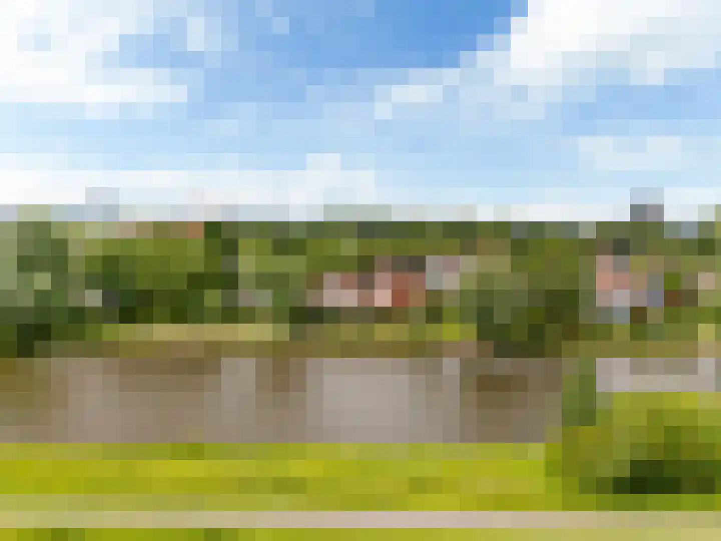 Fioringras 56 Leeuwarden thumbnail 57