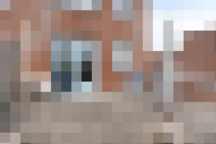 Fioringras 57 Zwolle thumbnail 22
