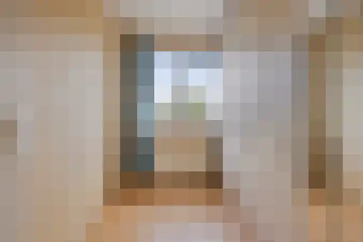 Fioringras 57 Zwolle thumbnail 36