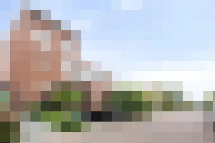 Fioringras 57 Zwolle thumbnail 39