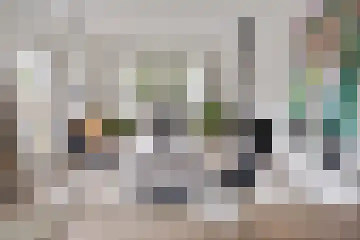 Fioringras 57 Zwolle thumbnail 4