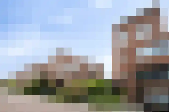 Fioringras 57 Zwolle thumbnail 40