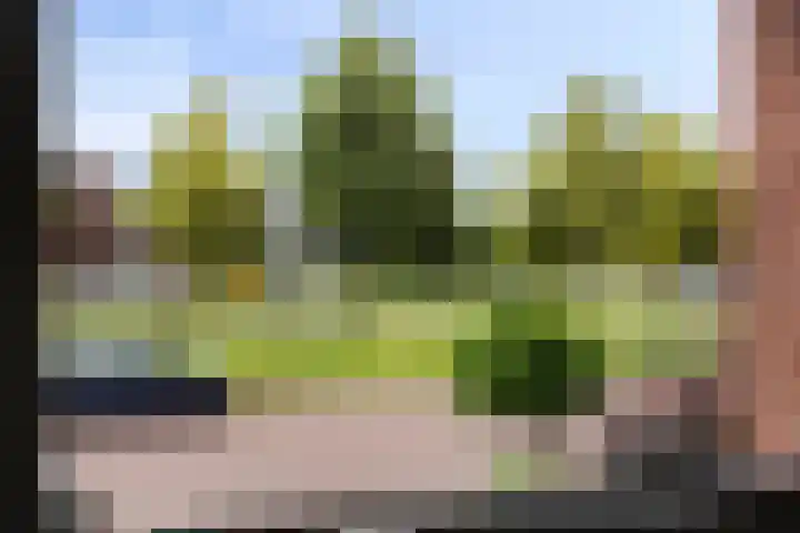 Fioringras 57 Zwolle thumbnail 42