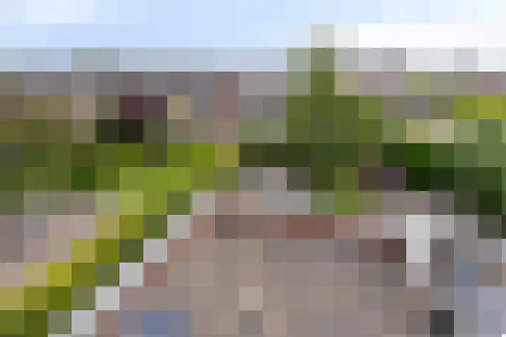 Fioringras 57 Zwolle thumbnail 44