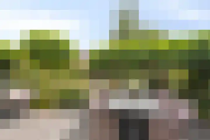 Fioringras 57 Zwolle thumbnail 45