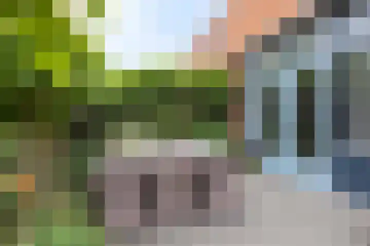 Fioringras 57 Zwolle thumbnail 48