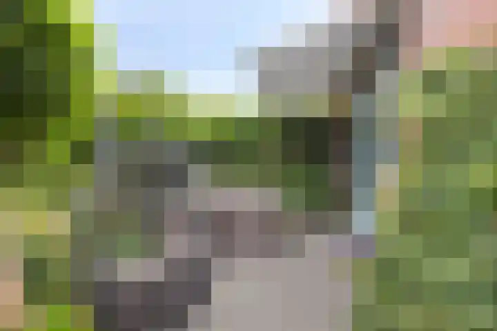 Fioringras 57 Zwolle thumbnail 49