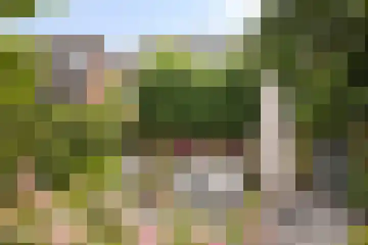 Fioringras 57 Zwolle thumbnail 50