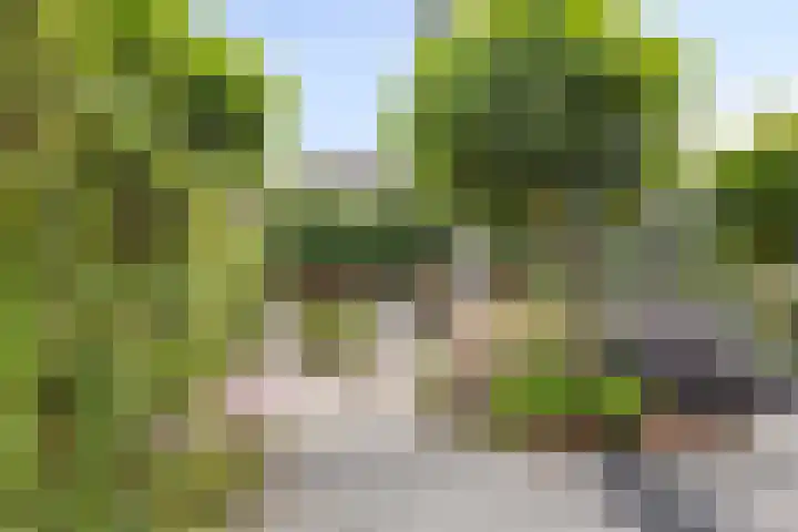 Fioringras 57 Zwolle thumbnail 51