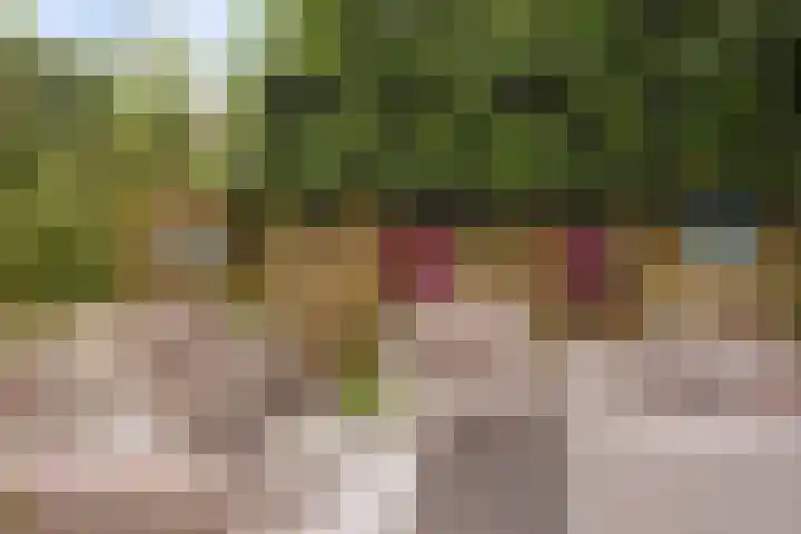 Fioringras 57 Zwolle thumbnail 52