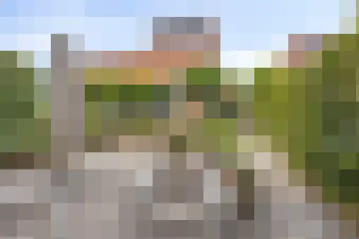 Fioringras 57 Zwolle thumbnail 53