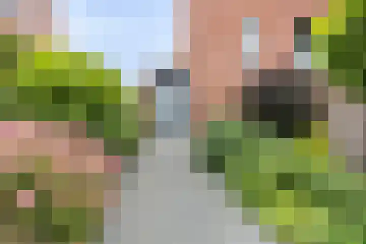 Fioringras 57 Zwolle thumbnail 56