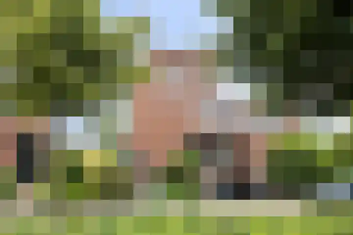 Fioringras 57 Zwolle thumbnail 57
