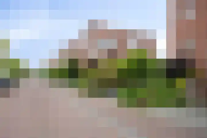 Fioringras 57 Zwolle thumbnail 59