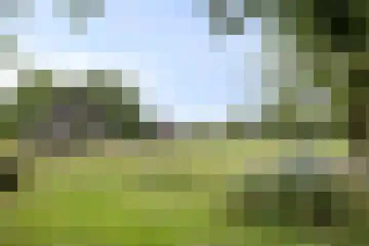 Fioringras 57 Zwolle thumbnail 60
