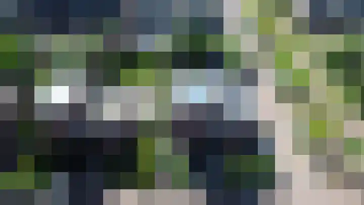 Fioringras 57 Zwolle thumbnail 62