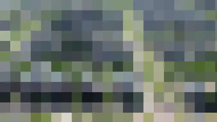 Fioringras 57 Zwolle thumbnail 63
