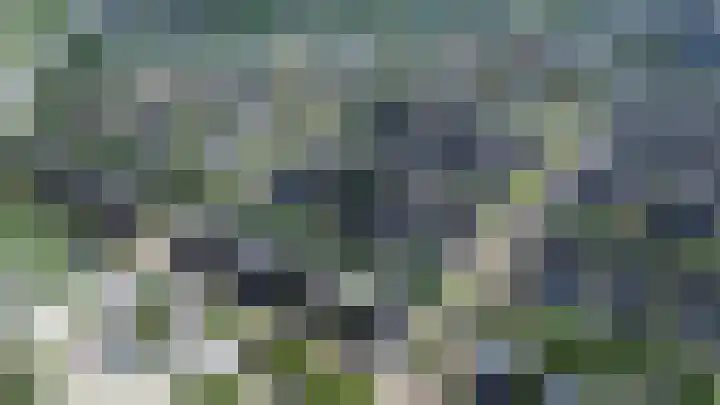 Fioringras 57 Zwolle thumbnail 64