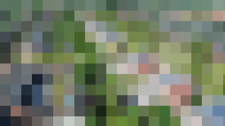 Fioringras 57 Zwolle thumbnail 65