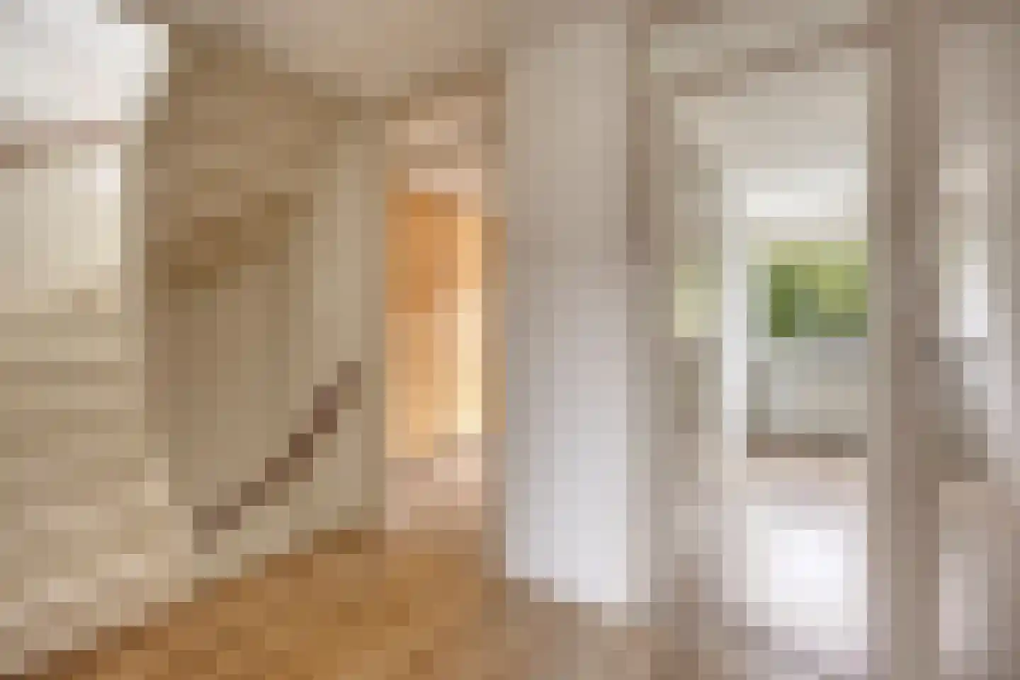 Fioringras 82 Rotterdam thumbnail 14