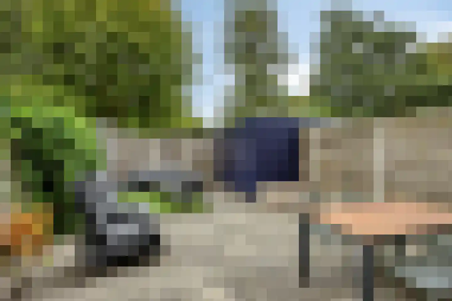 Fioringras 82 Rotterdam thumbnail 25
