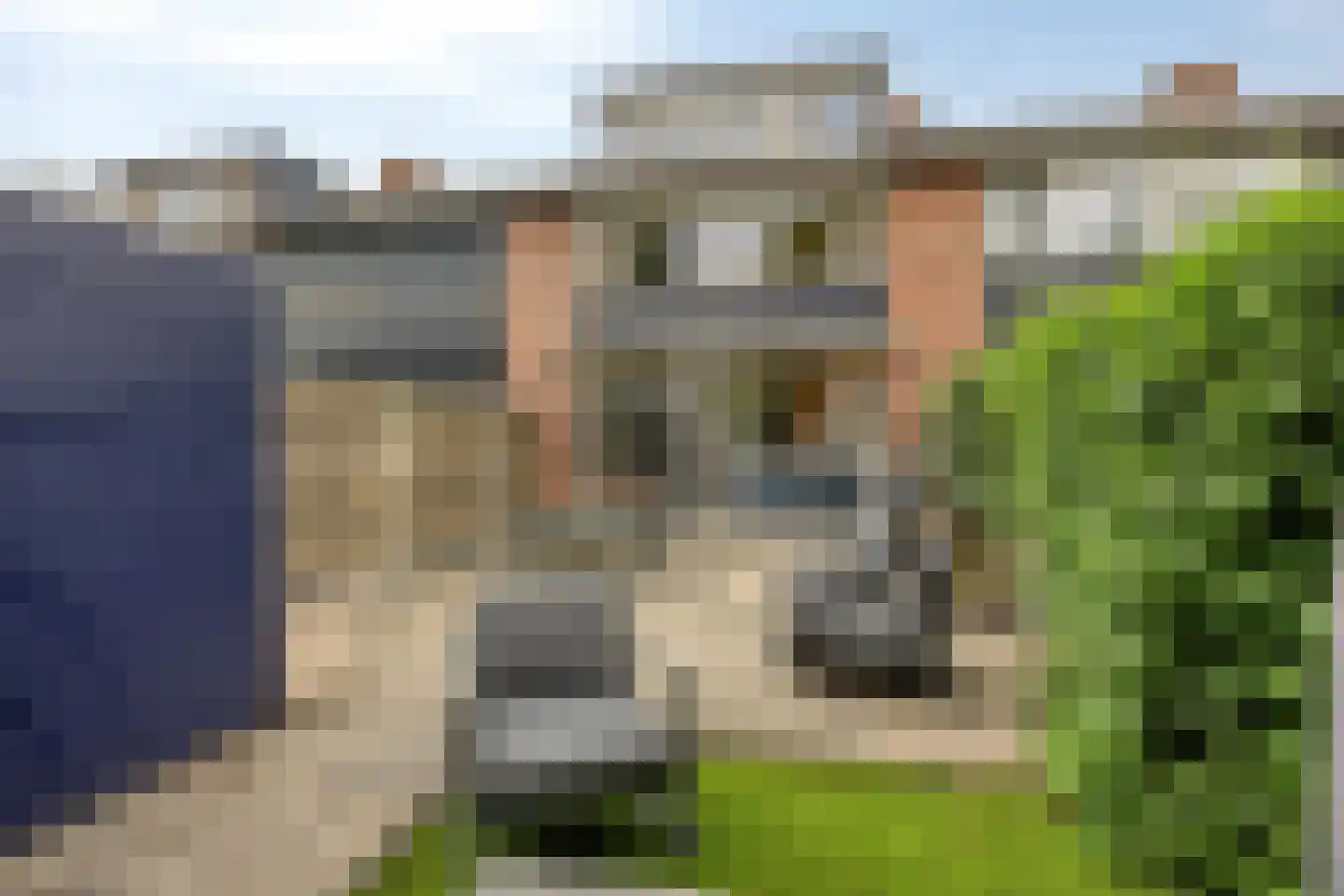 Fioringras 82 Rotterdam thumbnail 26