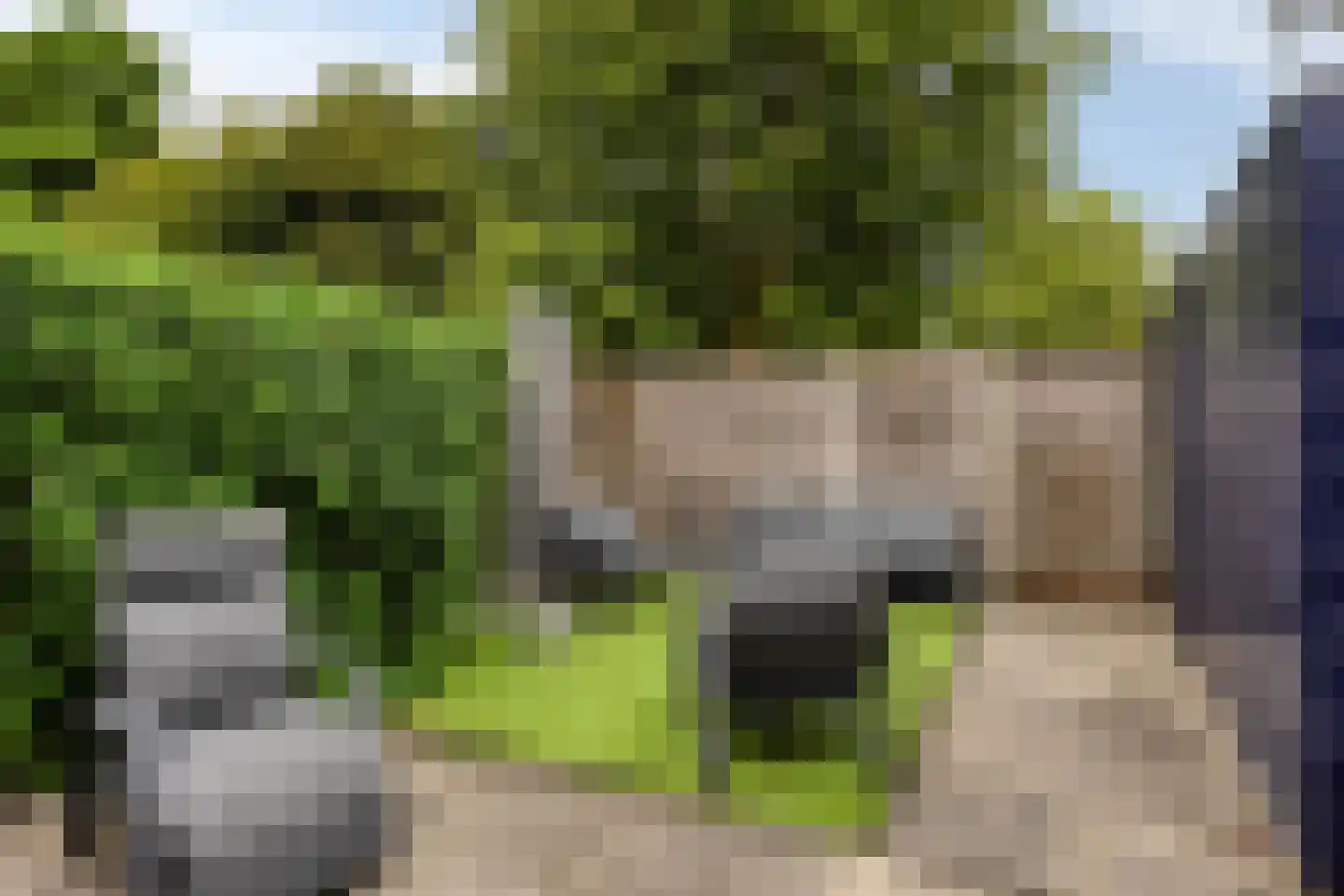 Fioringras 82 Rotterdam thumbnail 27