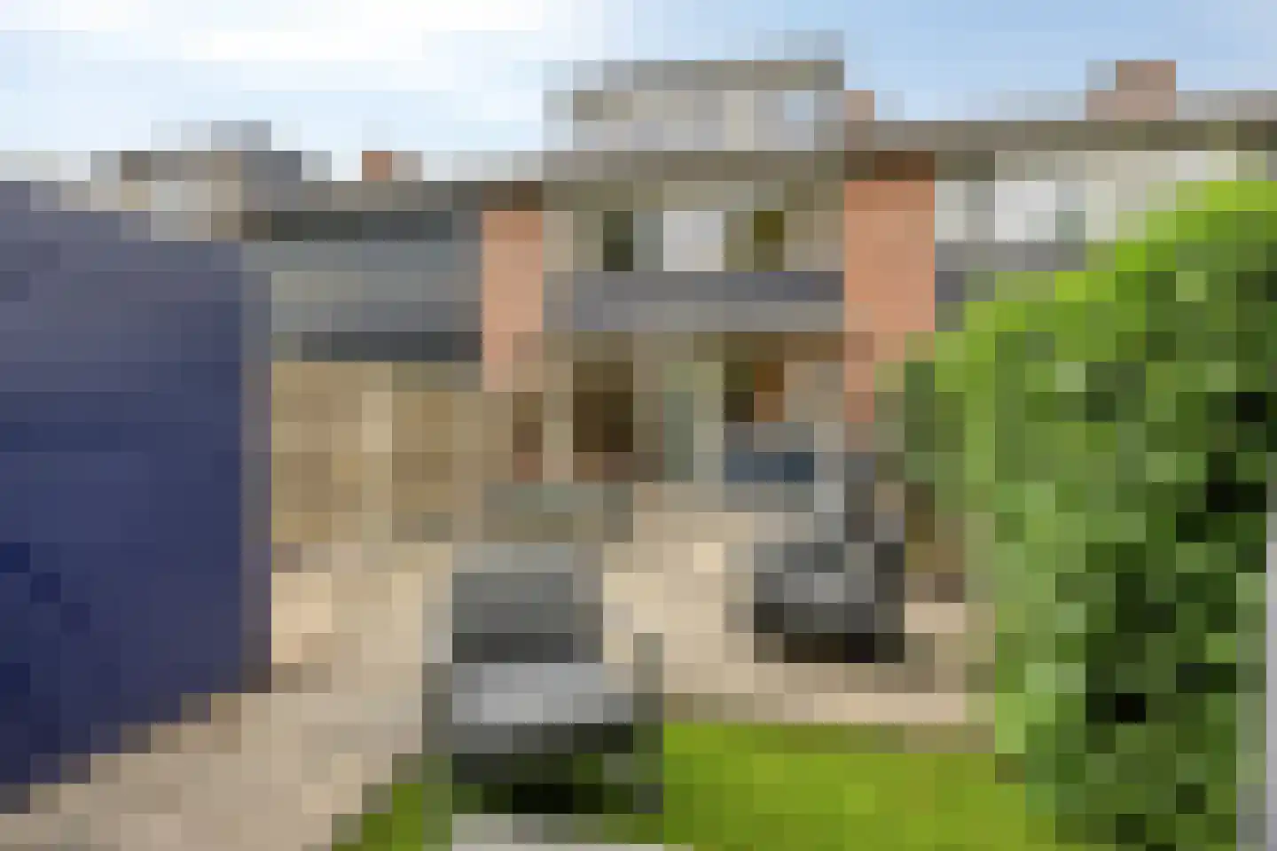 Fioringras 82 Rotterdam thumbnail 5
