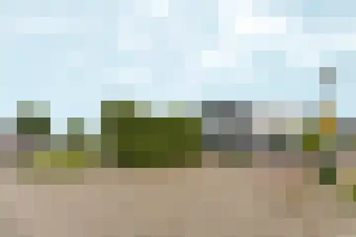 Fioringrasstraat 3 Almere thumbnail 5
