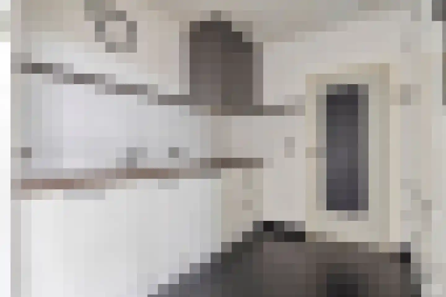 Firensstraat 22 Sas van Gent thumbnail 11