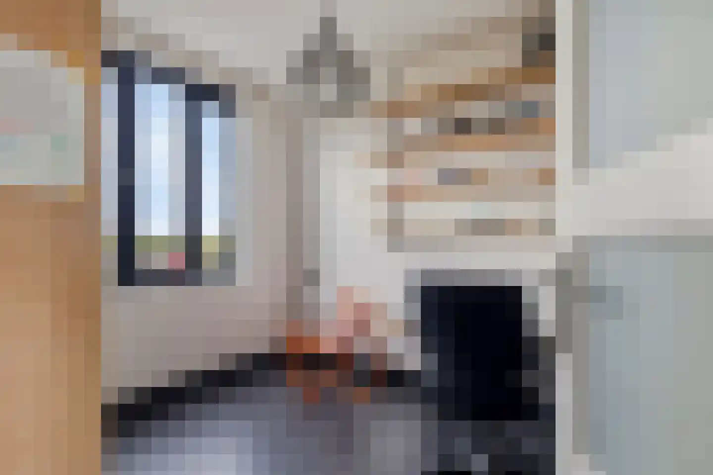 Firensstraat 22 Sas van Gent thumbnail 13