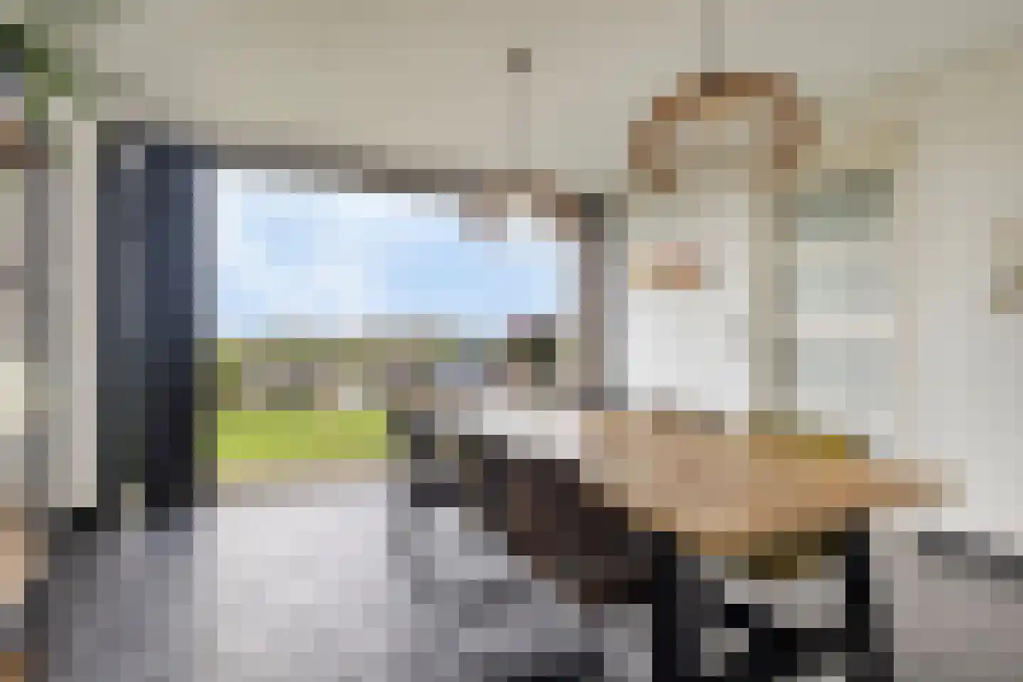 Firensstraat 22 Sas van Gent thumbnail 18