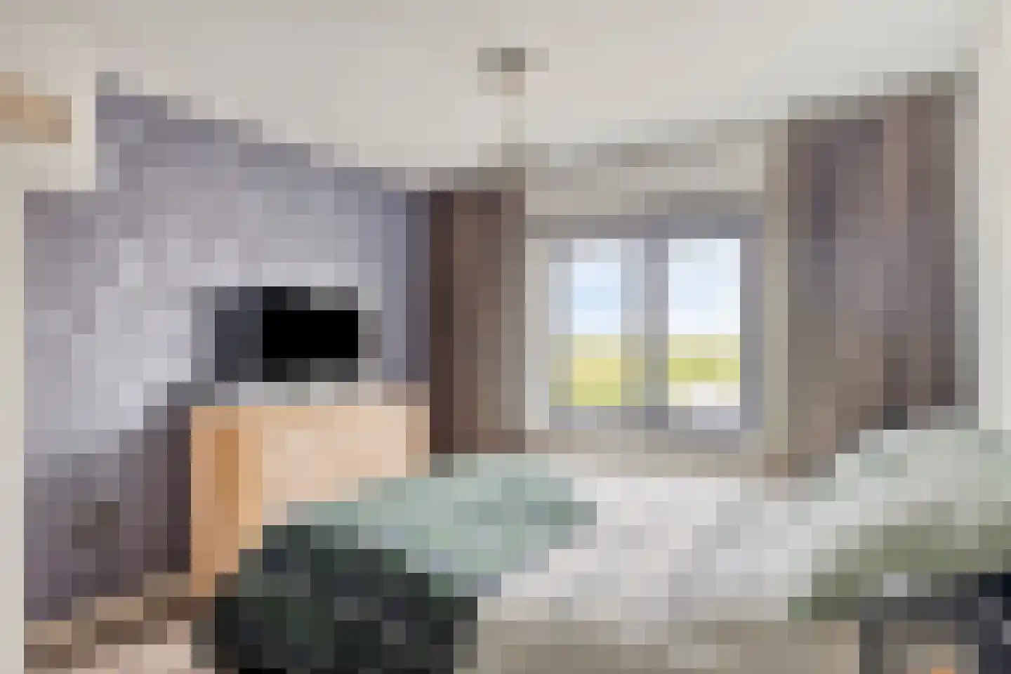Firensstraat 22 Sas van Gent thumbnail 19