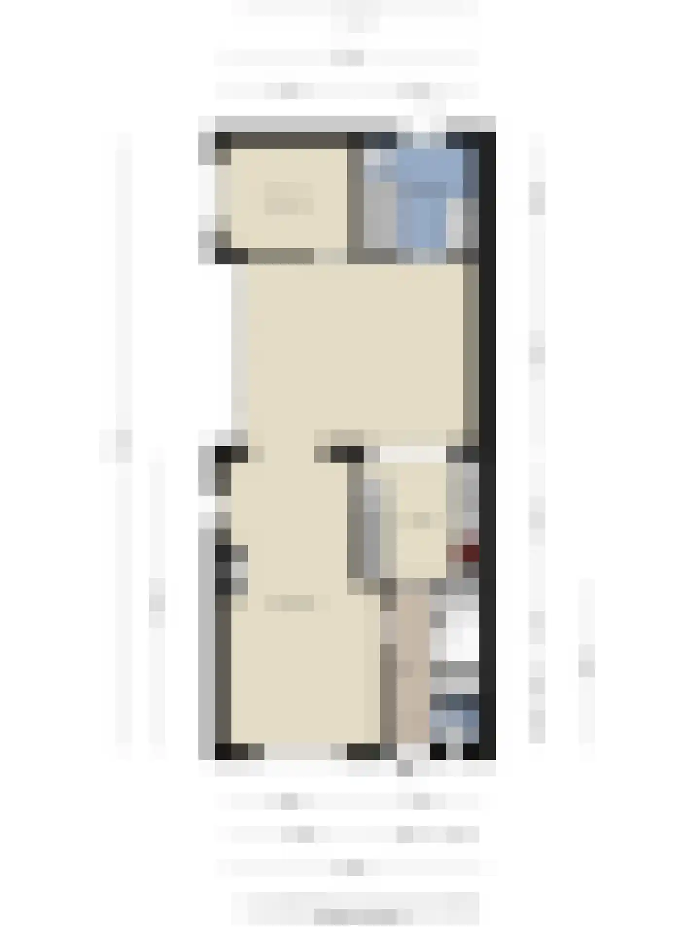Firensstraat 22 Sas van Gent thumbnail 27