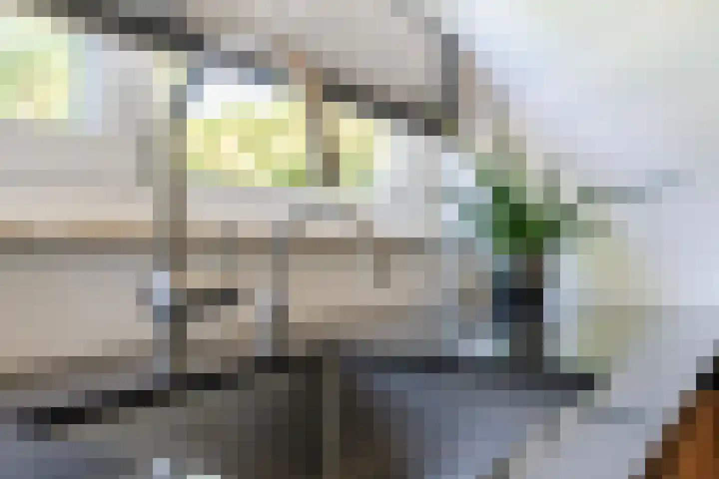 Firmamentlaan 30 Eindhoven thumbnail 29