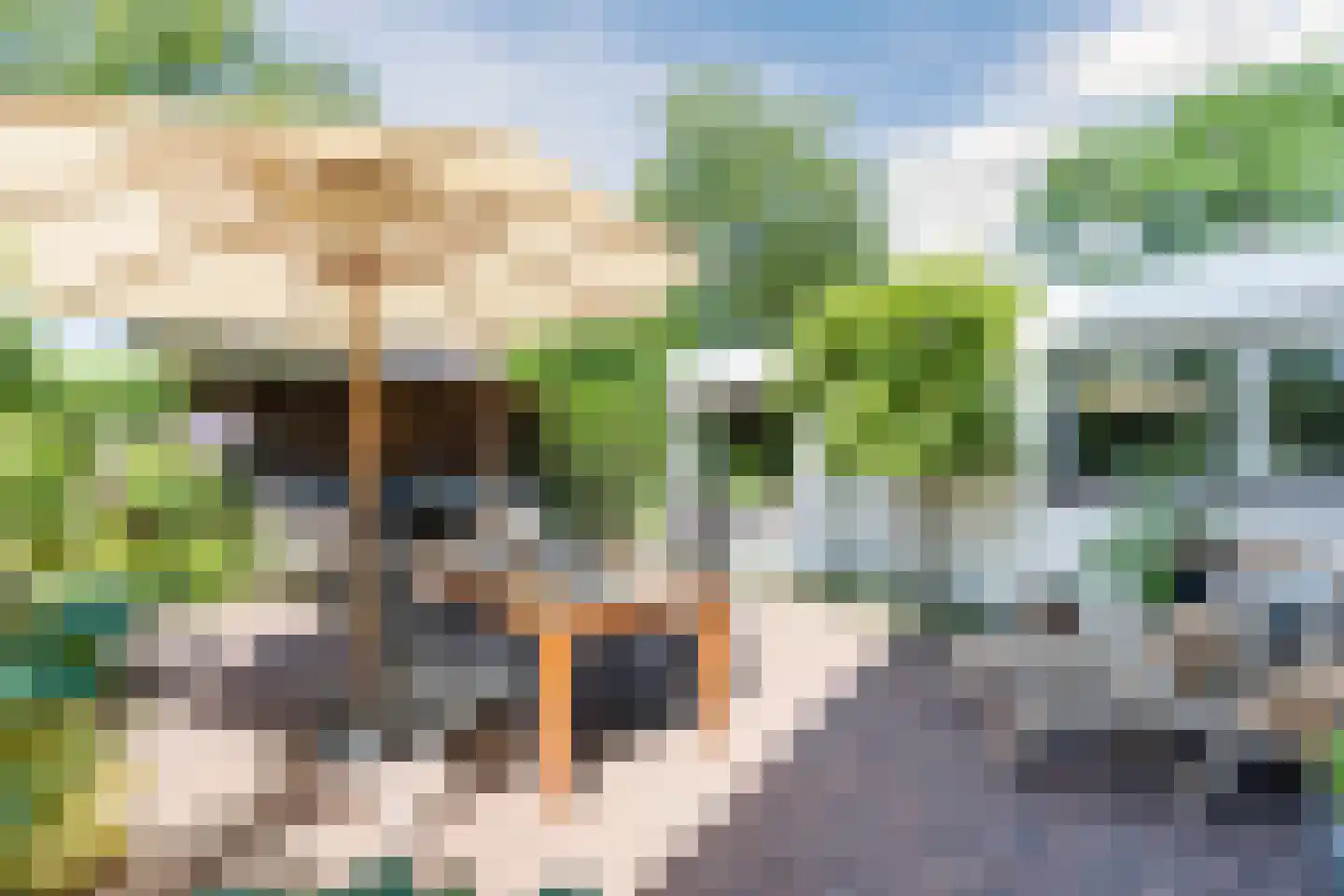 Firmamentlaan 30 Eindhoven thumbnail 62