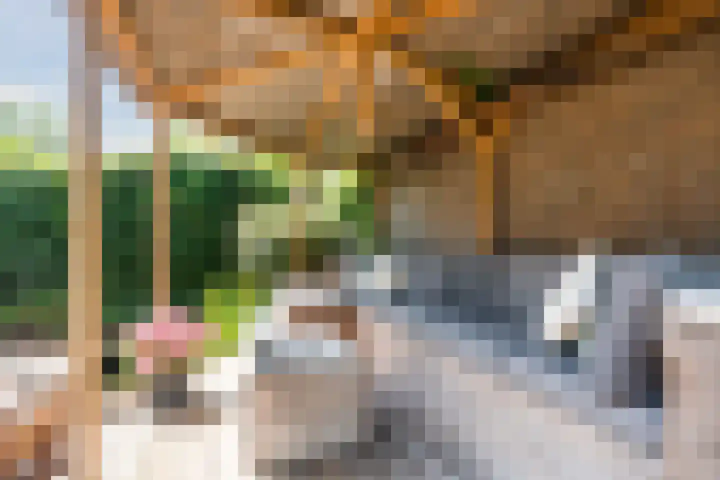 Firmamentlaan 30 Eindhoven thumbnail 64