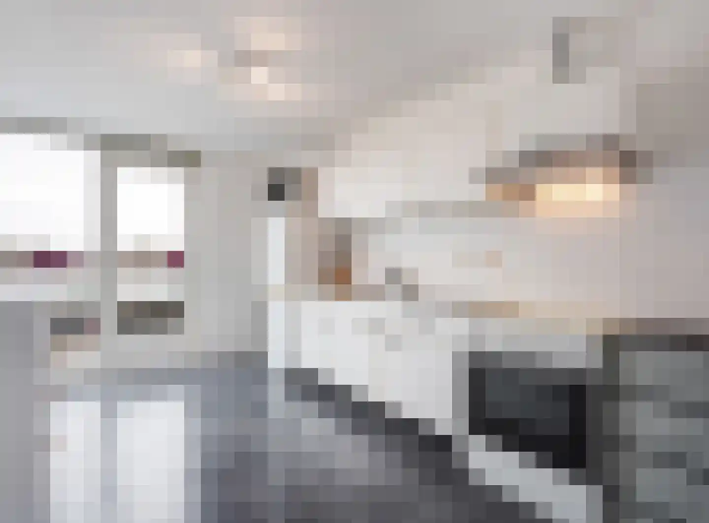 Fischerstraat 395 Den Haag thumbnail 9