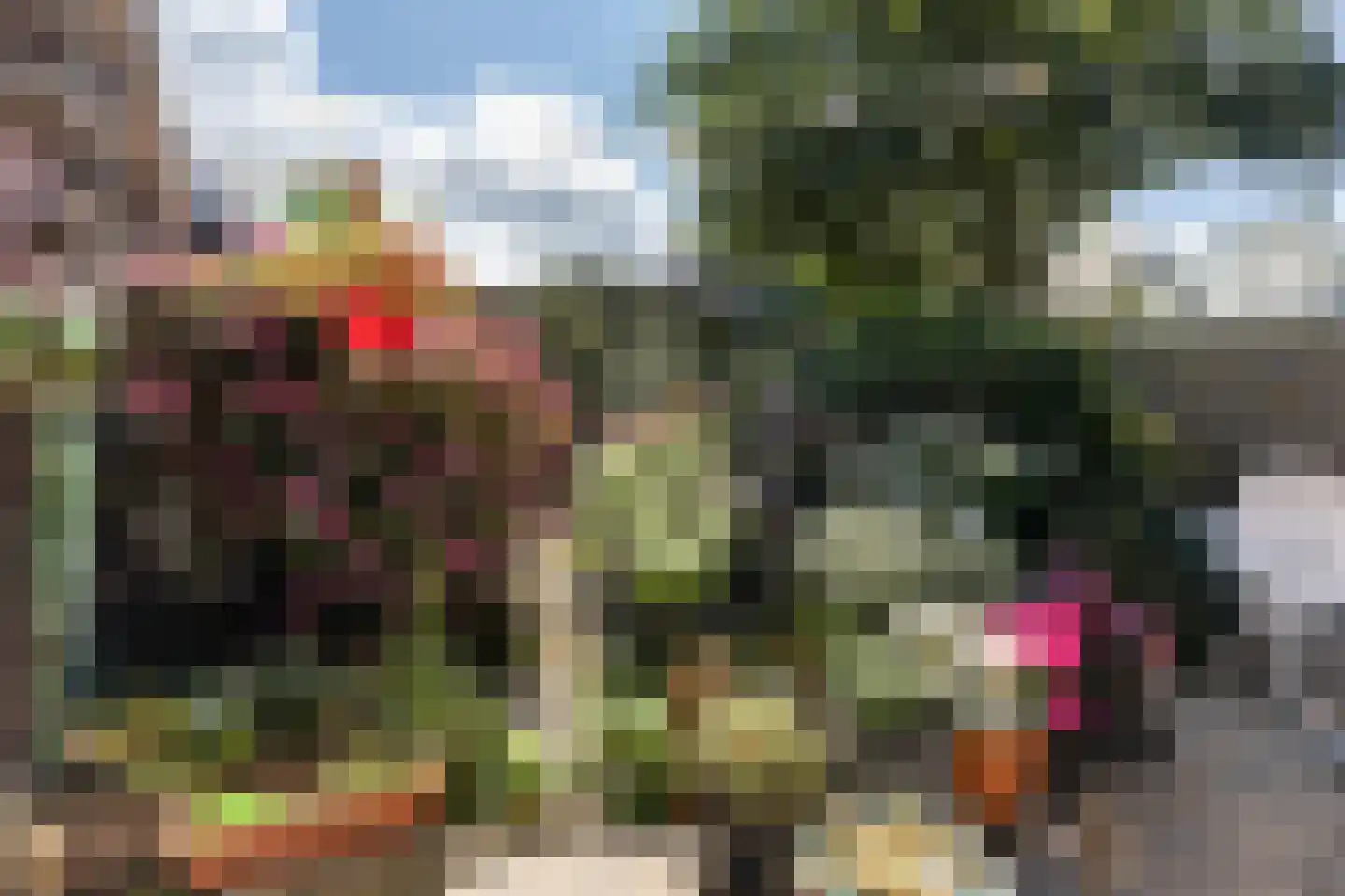 Fiskbuorren 34 Ternaard thumbnail 23