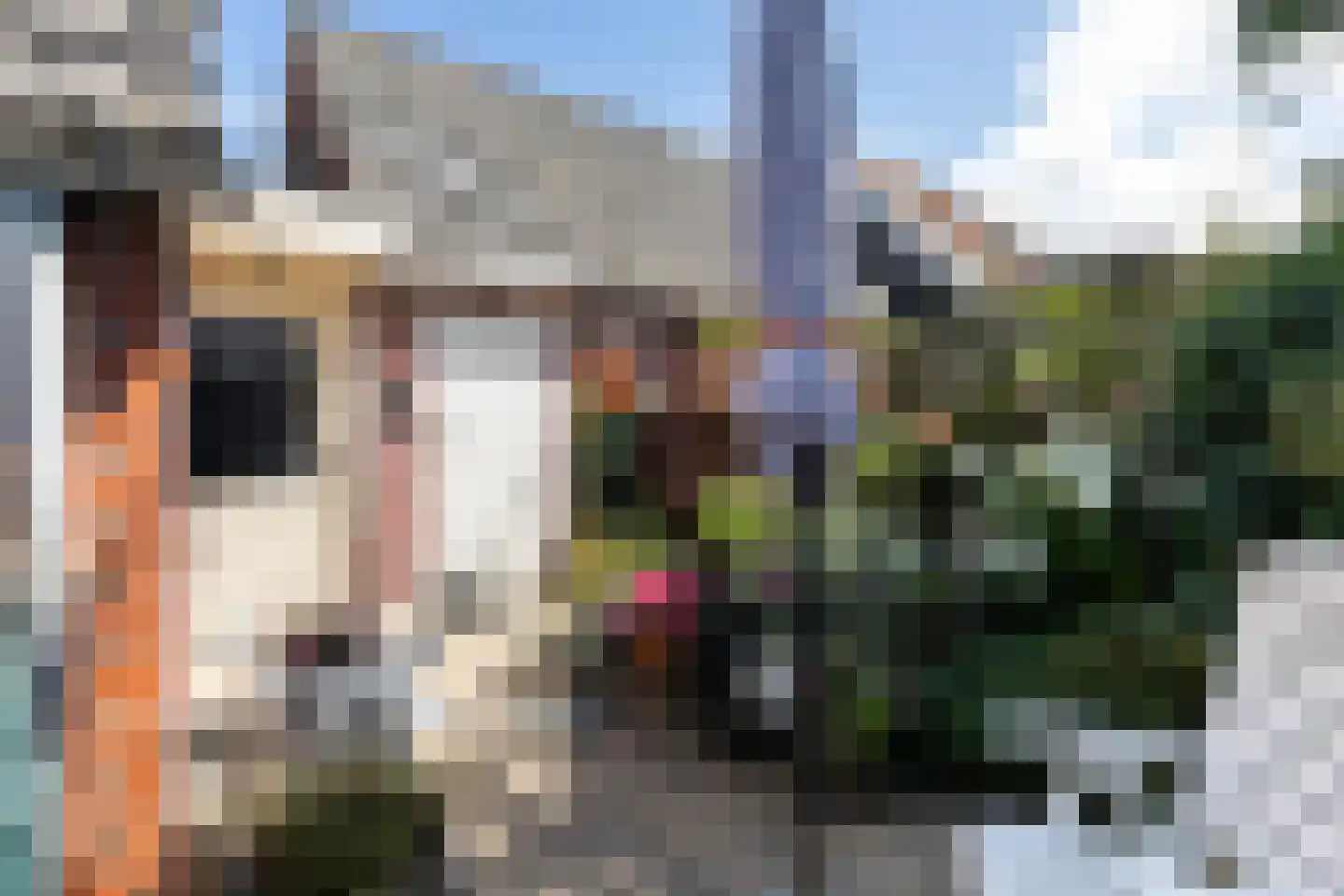 Fiskbuorren 34 Ternaard thumbnail 25