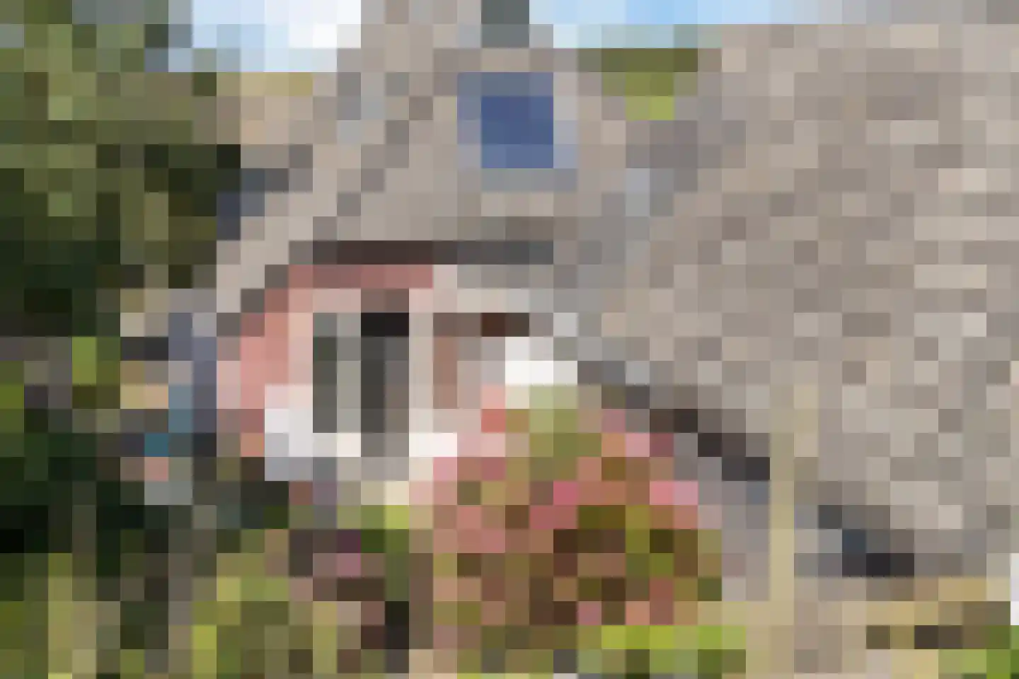 Fiskbuorren 34 Ternaard thumbnail 27