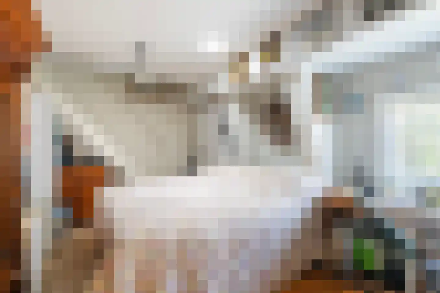 Fiskbuorren 34 Ternaard thumbnail 36